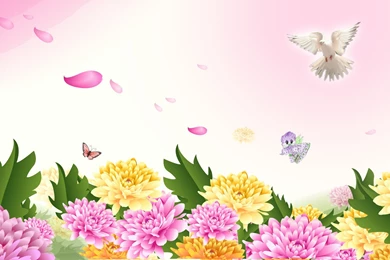 Super Dove Wallpapers