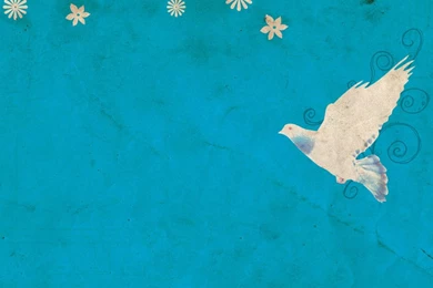 Wallpapers   Dove By Punksafetypin On DeviantArt