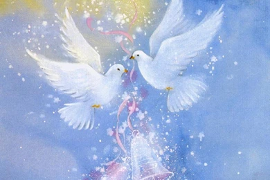 Doves   Doves Wallpapers (38537874)   Fanpop