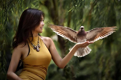 Dove Wallpapers By Sharewallpapers On DeviantArt