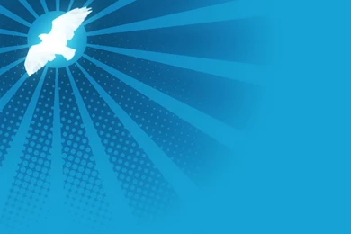 HD Dove Wallpapers And Photos