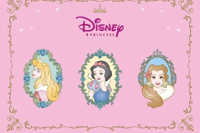 Disney Princess   Disney Princess Wallpapers (11035329)   Fanpop