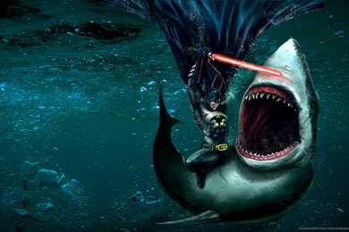 Download 1280x800 Batman Versus White Shark Wallpapers