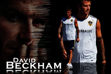 David Beckham Hd Soccer Wallpapers Download Free Wallpapers In Hd ...