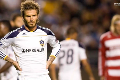 David Beckham Soccer Wallpapers   Wallpaper.