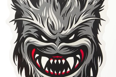 Top Spitfire Skateboard Wheels Wallpapers