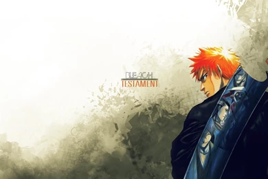 Bleach Wallpapers   Testament By Damienkerensky On DeviantArt