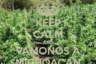 Michoacan Wallpapers
