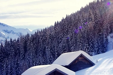 Snowy Mountain Cottage HD Desktop Wallpapers : High Definition ...