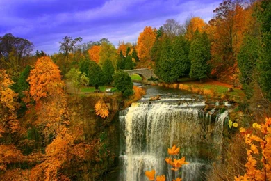 Autumn Bridge Fall Bridge – Nature Other HD Desktop Wallpapers