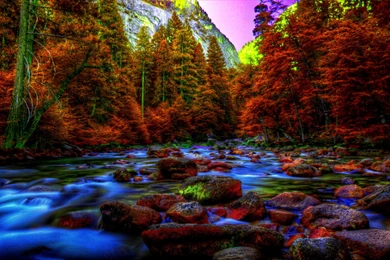 Fonds D'écran Ballon Dor   Page 2