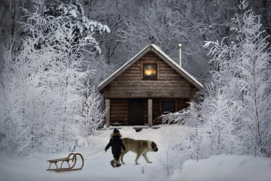 Winter: Winter Time Friends Nature Dog Woods Forest Snow Child ...