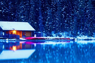 Winter: Snowy Road Wallp Winter Nature Trees Lamps Wallpapers For ...