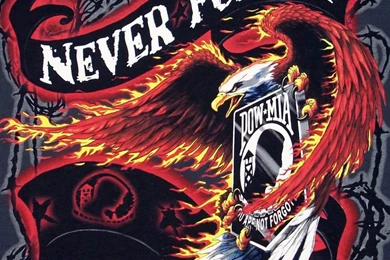 Fallen Soldier On My Delta Flight Kawasaki KFX450 Forum ...