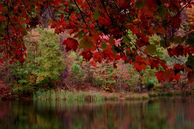 3d Fall Wallpapers   Wallpapers Cave