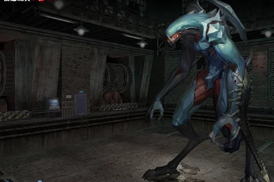 Eve Online Backgrounds Wallpapers   Free Eve Online Backgrounds ...