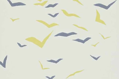 Scion Flight Wallpapers   Chalk Sunflower Graphite 110209