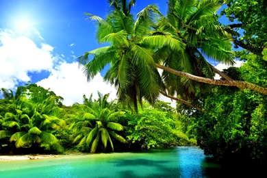 Amazing Beach Under The Palms   3840x2160   4K 16/9 (Ultra HD, UHD ...