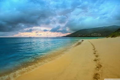 Amazing Beach HD Desktop Wallpapers : High Definition : Fullscreen ...