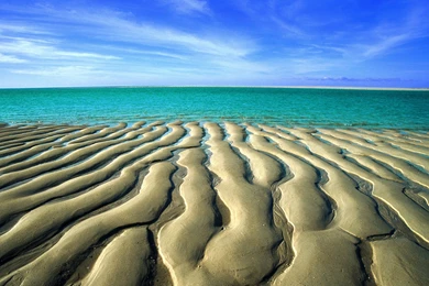 Cool HD & 3D Wallpapers