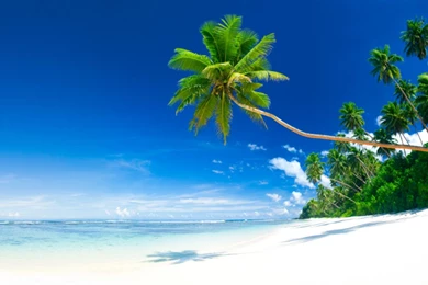 Amazing Beach Escape 4K Wallpapers