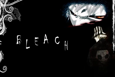 Anime/Manga Wallpapers: Bleach Wallpapers   Free Anime Wallpapers