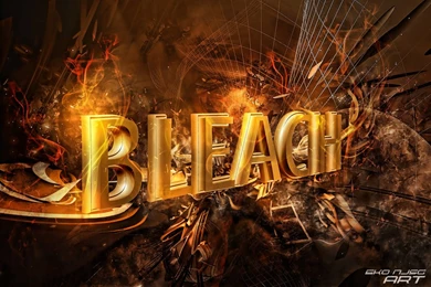 DeviantArt: More Like Bleach 3D By Redeye27