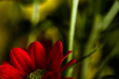 Photography – Desktop Wallpapers