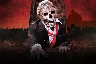 Skull Flikie Wallpapers