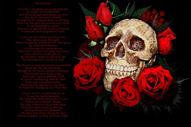 3d Graffiti Wallpapers – Wallpapers