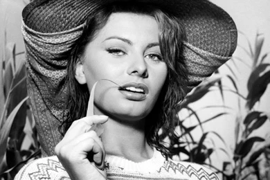 12 Quality Sophia Loren Wallpapers, Celebrity