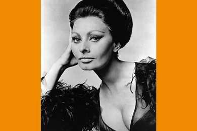 Sophia Loren