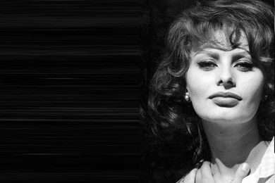 Sophia Loren HD Wallpapers And Photos Download