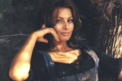 Wallpapers Sophia Loren 1024x768
