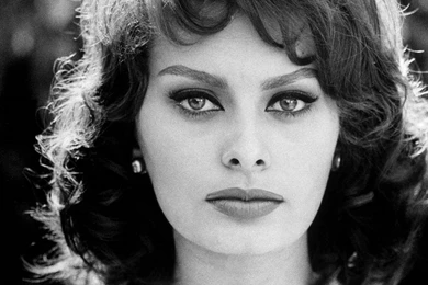 12 Quality Sophia Loren Wallpapers, Celebrity