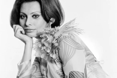 Sophia Loren Photo Gallery 720 High Quality Pics Of Sophia Loren ...