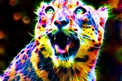 Colorful Leopard VII By Megaossa On DeviantArt