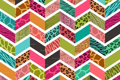Colorful Cheetah Print Wallpapers   Wallpapers Zone