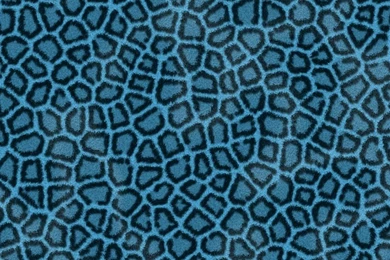 Leopard Hide Blue iPad Air Wallpapers Download