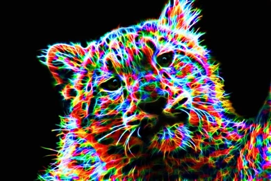 Colorful Leopard VII By Megaossa On DeviantArt