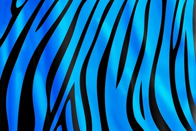 Wallpapers Colorful Animal Prints Print 1680x1050