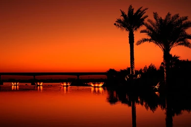 Dim Sunset iPad Air 2 Wallpapers