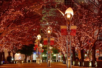 FreePhotoz Daily Wallpapers & Backgrounds   Christmas Night View ...