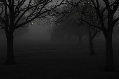 Dim Fog Art Wallpaper, HD Wallpapers Downloads