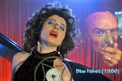 Blue Velvet 1986 Desktop Wallpapers