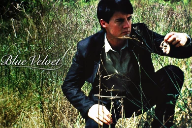 Top Best Damask Prices In Wallpapers