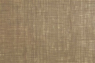 Wallpapers   METALLIC RAFFIA : Donghia : Palette App : Simply Powerful