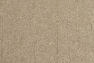 Prestigious Textiles Raffia Wallpapers   Sable 1979 109