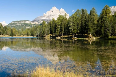 Nature Health   Wallpapers