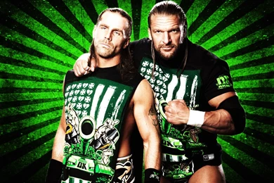Dx Shawn Michael & Triple H